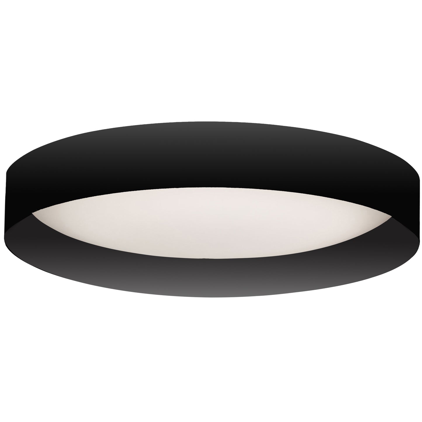 Dainolite 22W Flush Mount w/ Matte Black Metal Shade