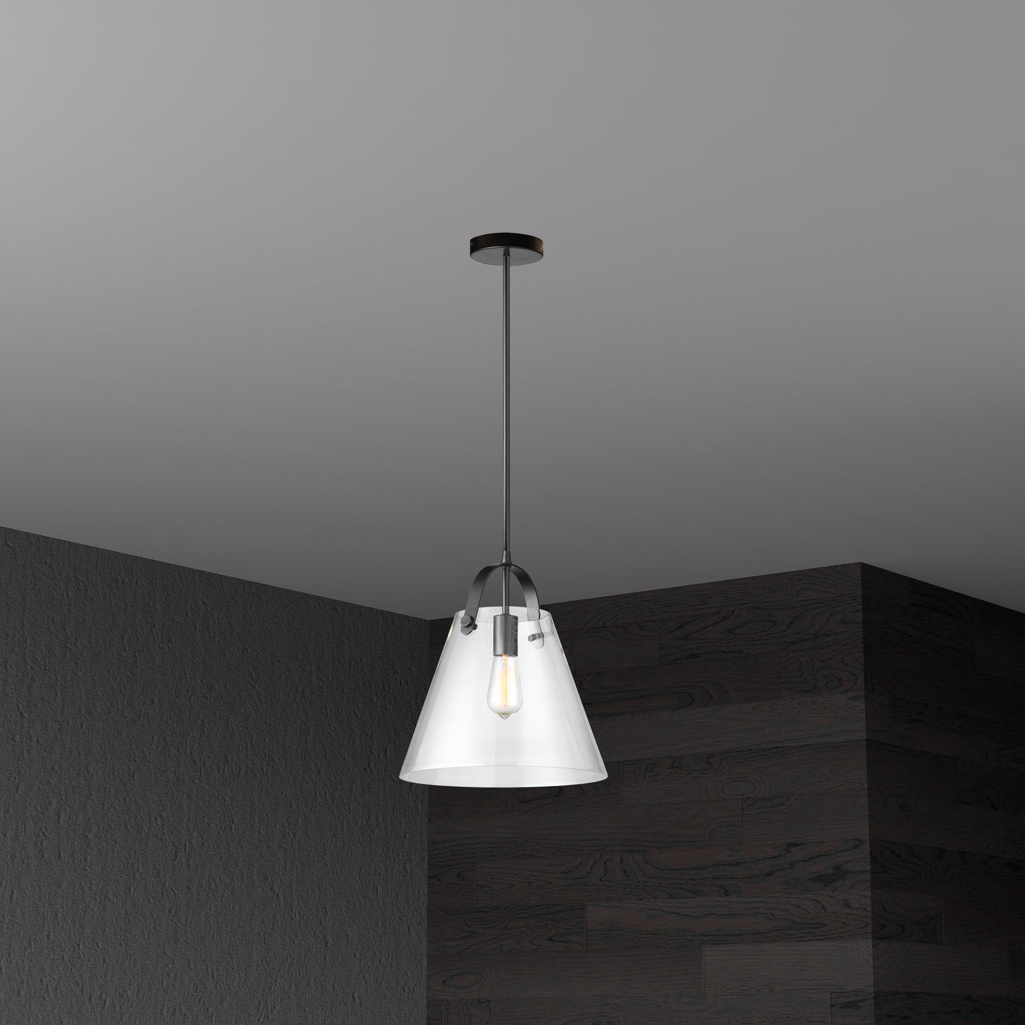 Dainolite 1 Light Incandescent Pendant Matte Black Finish with Clear Glass