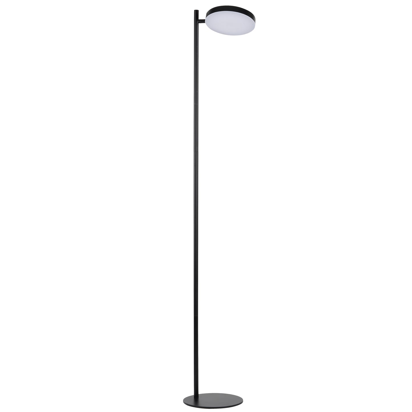 Dainolite 1 Light LED Fia Floor Lamp Matte Black
