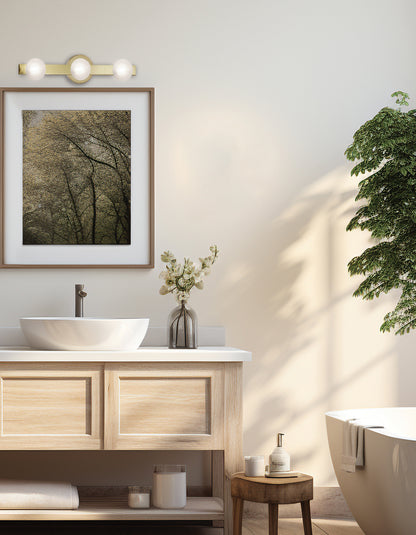 Dainolite 3 Light Aged Brass Vanity w/ Frosted Glass