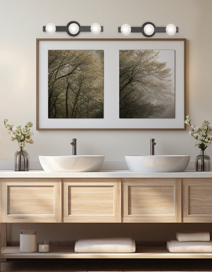 Dainolite 3 Light Matte Black Vanity w/ Frosted Glass