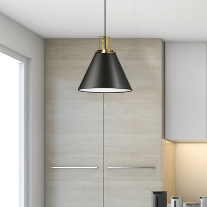 Dainolite 1 Light Incandescent Pendant, Matte Black w/ Aged Brass Accent